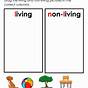 Preschool Living And Nonliving Worksheets
