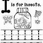 Insect Worksheets For Preschool