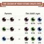 Eye Color Predictor Chart