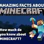 Minecraft Facts You Didn T Know