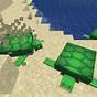 How To Breed Minecraft Turtles