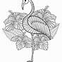 Flamingo Coloring Pages Printable