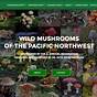 Wild Mushrooms Of The Pnw