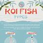 Types Of Koi Fish Chart