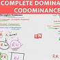 Incomplete Dominance And Codominance Examples