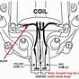 350 Chevy Wiring Diagram