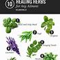 Common Herbs And Uses