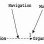 Arrow And Line Diagrams