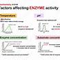 Factors That Affect Enzymes Worksheet