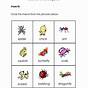 Insect Worksheet For First Grade