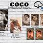 Printable Coco Ofrenda Photos