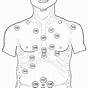 Chart Cupping Points For Neck And Shoulder Pain