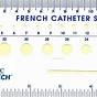 French Catheter Size Chart