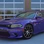 Plum Crazy Dodge Charger