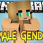 Female Gender Mod Minecraft