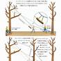 Tree Care Block Rigging Diagrams