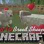How To Breed Sheep Minecraft