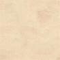 Venetian Plaster Seamless Texture