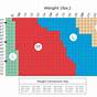 Prevail Youth Briefs Size Chart