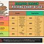 Printable Bearded Dragon Food Chart