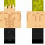 Shirtless Minecraft Skin