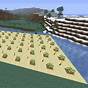 Minecraft Tree Farm Layout
