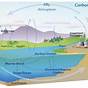 Carbon Cycle Diagram With Car