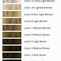 Hair Color Levels Chart