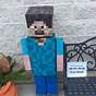 Steve Minecraft Outfit