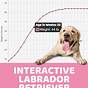 Weight Of Labrador Puppy Chart