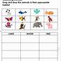 Animals Habitat Worksheet For Kindergarten