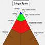 Ecology Pyramid Worksheet