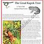 The Great Kapok Tree Worksheets