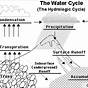 Label Water Cycle Diagram Answers