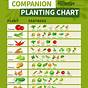 Herb Companion Planting Chart Pdf