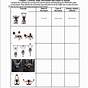 Joints And Movements Worksheet