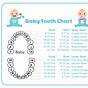 Tooth Color Chart Printable