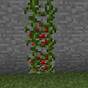 How To Make Vines In Minecraft