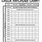 Temperature Range For Hatching Chicken Eggs
