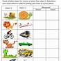 Kids Science Activity Worksheet