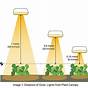 Indoor Plant Light Requirements Chart