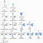 Vsepr Theory Bond Angles Chart