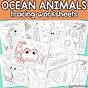 Ocean Tracing Worksheets