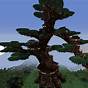 How To Build A Giant Tree In Minecraft