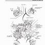 Honda Grom Wiring Diagram