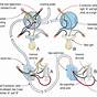 Three Way Circuit Wiring Diagram