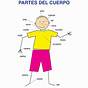 Spanish Parts Of The Body Worksheet