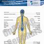 Spinal Nerve Chart Poster