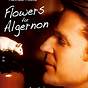 Flowers For Algernon Full Text
