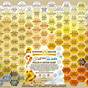 Honey Bee Queen Color Chart
